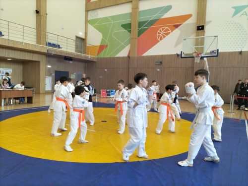 Кукмараның Барс-Арена спорт комплексында киокушинкай каратэ буенча республика турниры узды