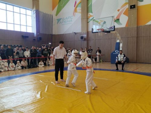Кукмараның Барс-Арена спорт комплексында киокушинкай каратэ буенча республика турниры узды