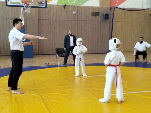 Кукмараның Барс-Арена спорт комплексында киокушинкай каратэ буенча республика турниры узды