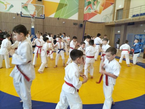 Кукмараның Барс-Арена спорт комплексында киокушинкай каратэ буенча республика турниры узды