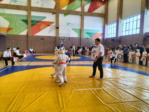 Кукмараның Барс-Арена спорт комплексында киокушинкай каратэ буенча республика турниры узды