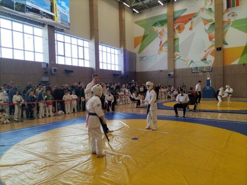 Кукмараның Барс-Арена спорт комплексында киокушинкай каратэ буенча республика турниры узды