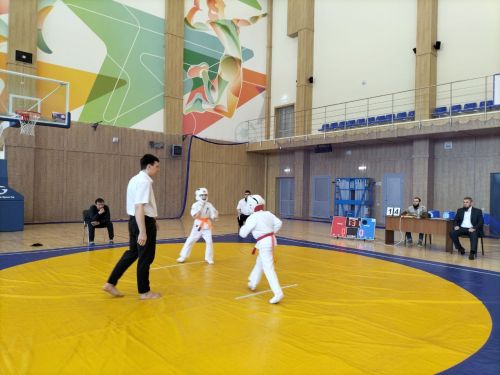 Кукмараның Барс-Арена спорт комплексында киокушинкай каратэ буенча республика турниры узды