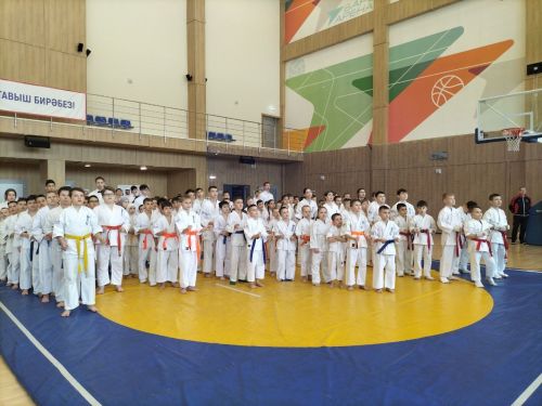 Кукмараның Барс-Арена спорт комплексында киокушинкай каратэ буенча республика турниры узды