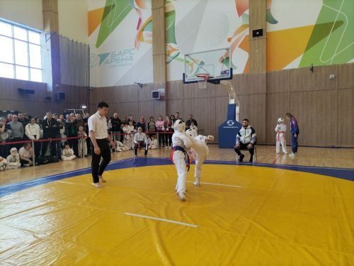 Кукмараның Барс-Арена спорт комплексында киокушинкай каратэ буенча республика турниры узды