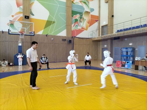 Кукмараның Барс-Арена спорт комплексында киокушинкай каратэ буенча республика турниры узды