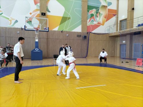 Кукмараның Барс-Арена спорт комплексында киокушинкай каратэ буенча республика турниры узды