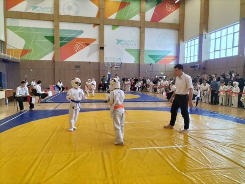 Кукмараның Барс-Арена спорт комплексында киокушинкай каратэ буенча республика турниры узды