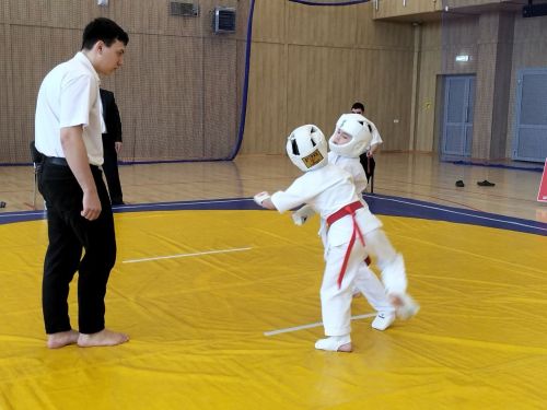 Кукмараның Барс-Арена спорт комплексында киокушинкай каратэ буенча республика турниры узды