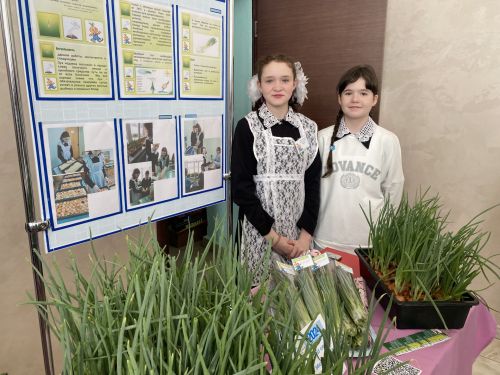 Кукмарада мәктәп укучылары арасында «Бизнеска адымнар» муниципаль конкурсы узды