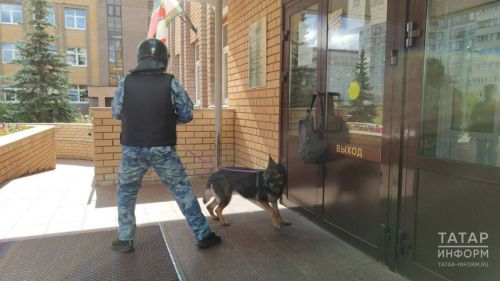 Обещания денег и манипуляции: Как вербовщики привлекают жителей Татарстана к терактам