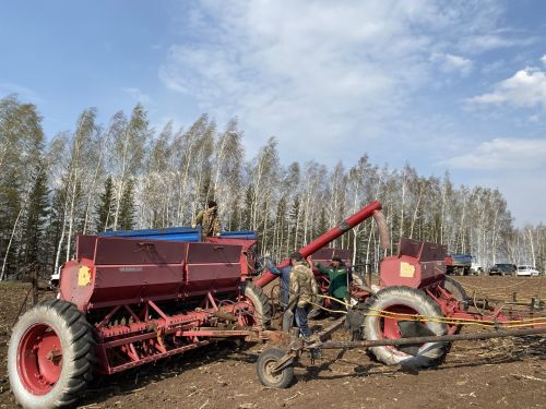 Кукмара районының «Урал» хуҗалыгында чәчү эшләре бара