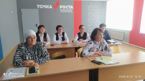 Янил урта мәктәбендә “Туган җир сулышы” дип аталган  IX республика фәнни-гамәли конференция үтте