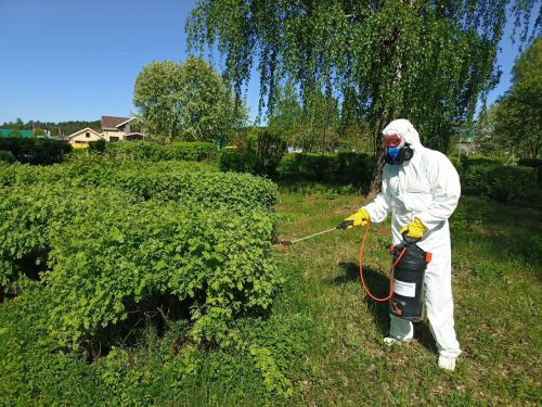 Кукмарада массакүләм ял итү зоналарын талпаннарга каршы эшкәртү бара