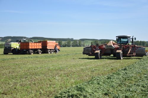 Кукмараның Вахит хуҗалыгында авыл хуҗалыгы семинары узды