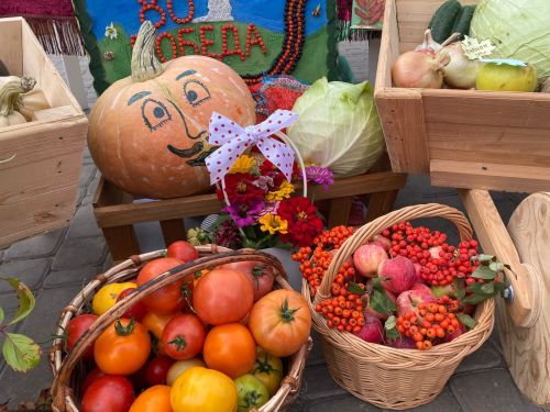 Кукмарада мәгариф учреждениеләренең көзге ярминкәсе гөрләде
