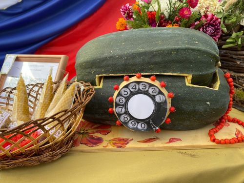 В Кукморе прошла осенняя школьная ярмарка