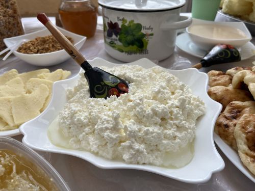 Кукмарада «Гаилә тарихында гасырлар кайтавазы — Тарихта без эзлебез» исемле республика шәҗәрә фестиваленең муниципаль этабы узды