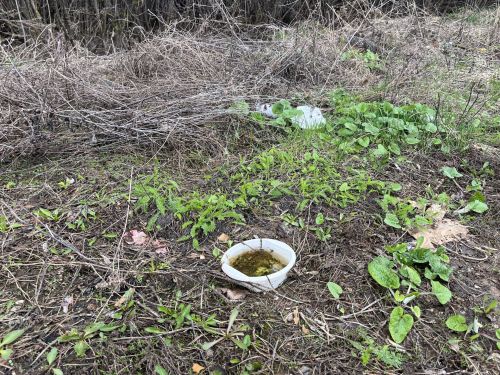 Кукмарада чүплекләргә каршы рейд үткәрелде