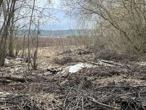 Кукмарада чүплекләргә каршы рейд үткәрелде