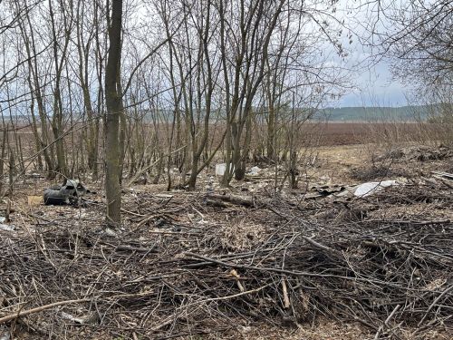Кукмарада чүплекләргә каршы рейд үткәрелде