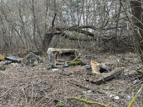 Кукмарада чүплекләргә каршы рейд үткәрелде