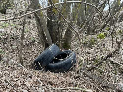 Кукмарада чүплекләргә каршы рейд үткәрелде
