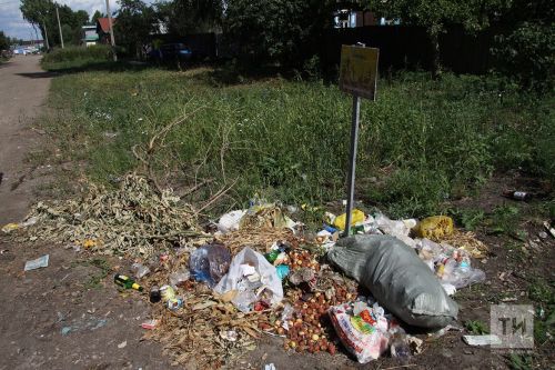 Кадерләсәк Җир-әнкәне: табигатькә сакчыл караш турында уйланулар