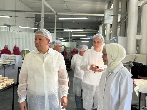 Кукмарага Россия Федерациясе Дәүләт Думасы депутаты Илья Вольфсон килде