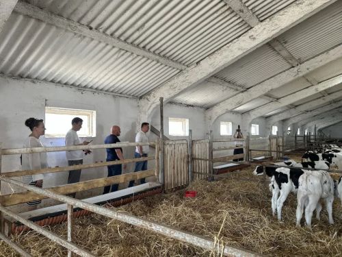 Кукмарага Россия Федерациясе Дәүләт Думасы депутаты Илья Вольфсон килде