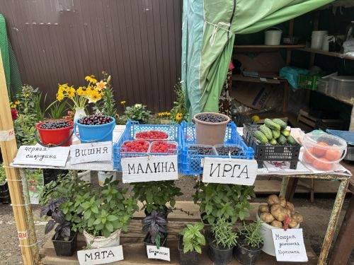Җәйнең тәме ничә сум: Кукмара базарындагы бәяләргә күзәтү