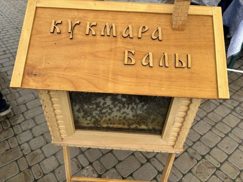 Праздничная ярмарка собрала пчеловодов со всего Кукморского района