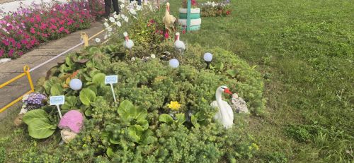 Кукмара районындагы мәгариф учреждениеләренең яңа уку елына әзерлеге тикшерелә