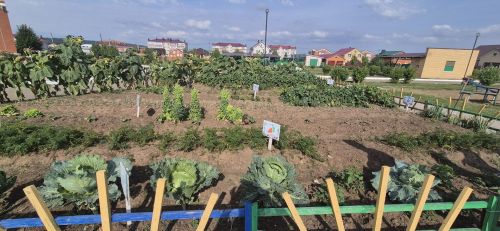 Кукмара районындагы мәгариф учреждениеләренең яңа уку елына әзерлеге тикшерелә