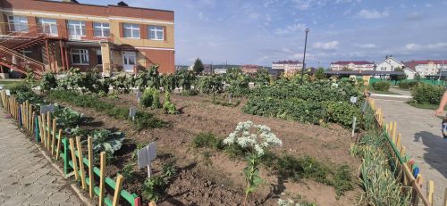 Кукмара районындагы мәгариф учреждениеләренең яңа уку елына әзерлеге тикшерелә