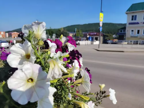 В Кукморском районе 22 августа потеплеет до +23 градусов