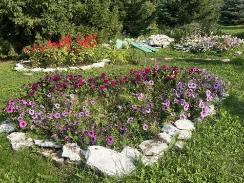 Кукмарада мәгариф учреждениеләренең яңа уку елына әзерлеге тикшерелә