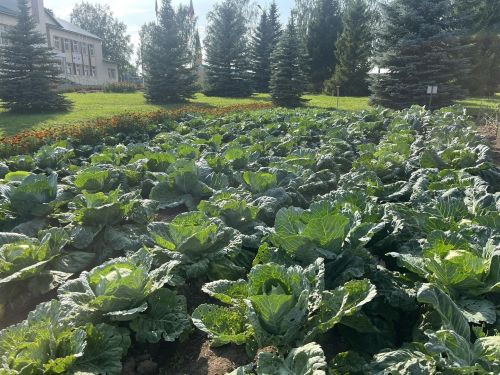 Кукмарада мәгариф учреждениеләренең яңа уку елына әзерлеге тикшерелә