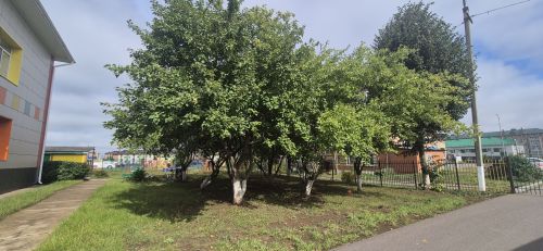 Кукмара районындагы мәгариф учреждениеләренең яңа уку елына әзерлеген тикшерелә