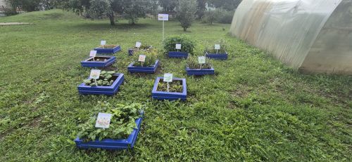 Кукмара районындагы мәгариф учреждениеләренең яңа уку елына әзерлеген тикшерелә