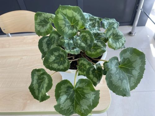 Кукмара районында яңа уку елына әзерлекне тикшерү дәвам итә