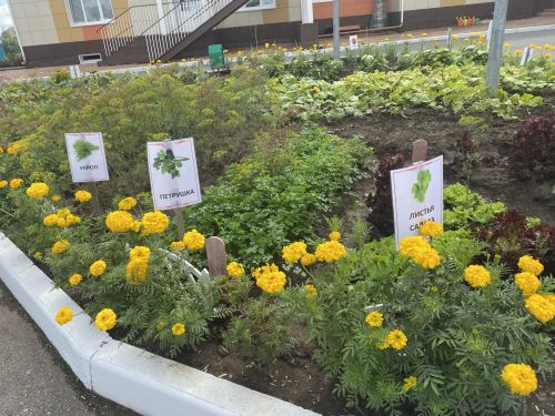 Кукмара районында яңа уку елына әзерлекне тикшерү дәвам итә