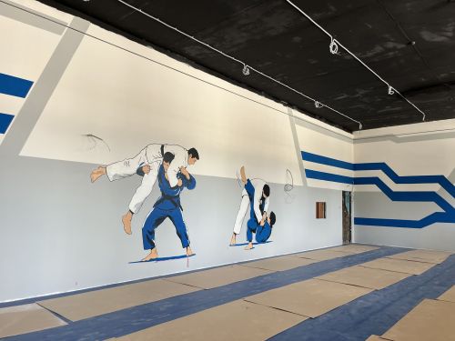 Бассейннан алып спорт залларына кадәр: «Зилант» спорт мәктәбе яңара