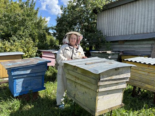 Бал тәме — тырыш хезмәттә: Куркинода яшәүче Ракеевлар умартачылык традициясен дәвам итә