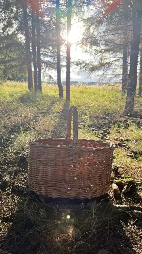 Синоптики обещают потепление до +20 градусов в Кукморском районе