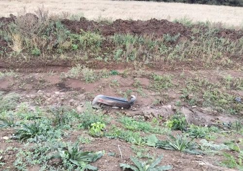 В Кукморском районе водитель автомобиля получил серьезные травмы в ДТП