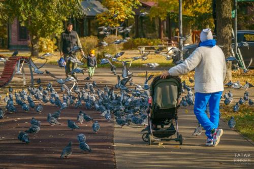 Ана капиталыннан айлык түләү: Татарстанда кемнәр рәсмиләштерә ала