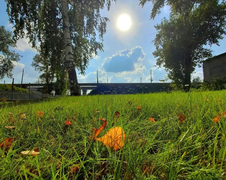 Синоптики прогнозируют в Кукморском районе порывы ветра до 18 м/с