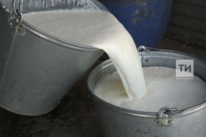 Район хуҗалыкларында бер сыердан савылган тәүлеклек савым (килограммнарда)