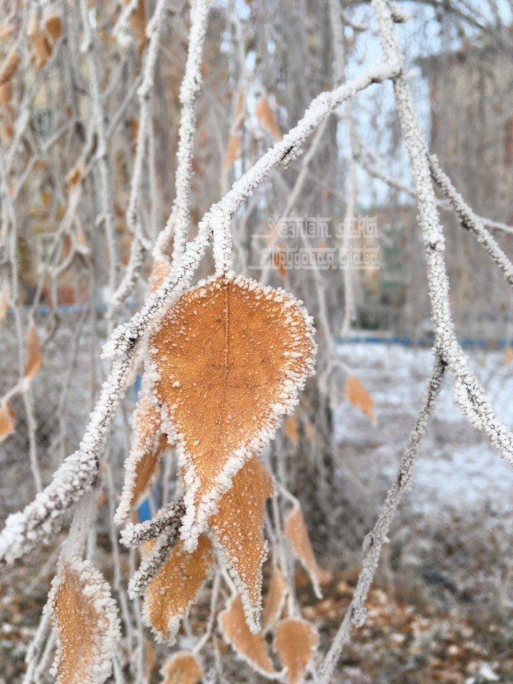 Похолодание до -30 градусов ожидается в Татарстане